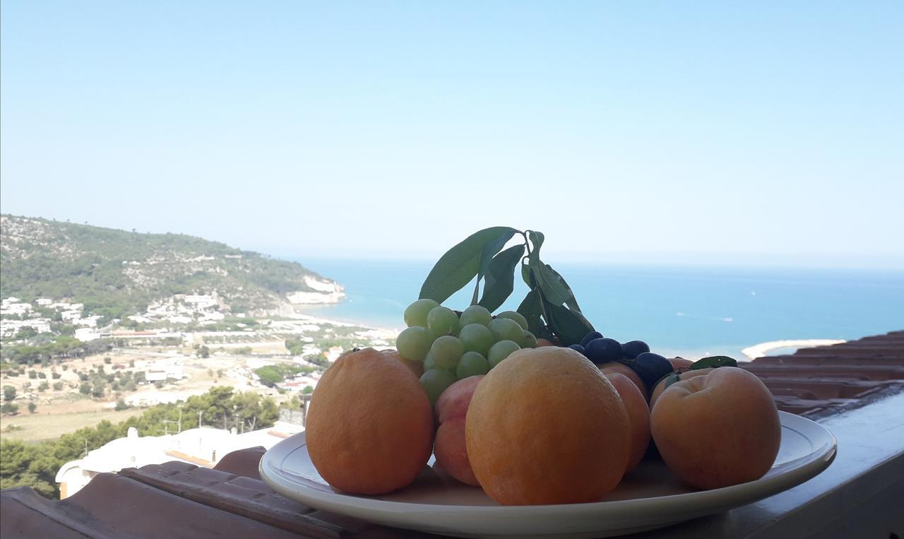 B&B Villa Passiaturo 佩斯基奇 外观 照片